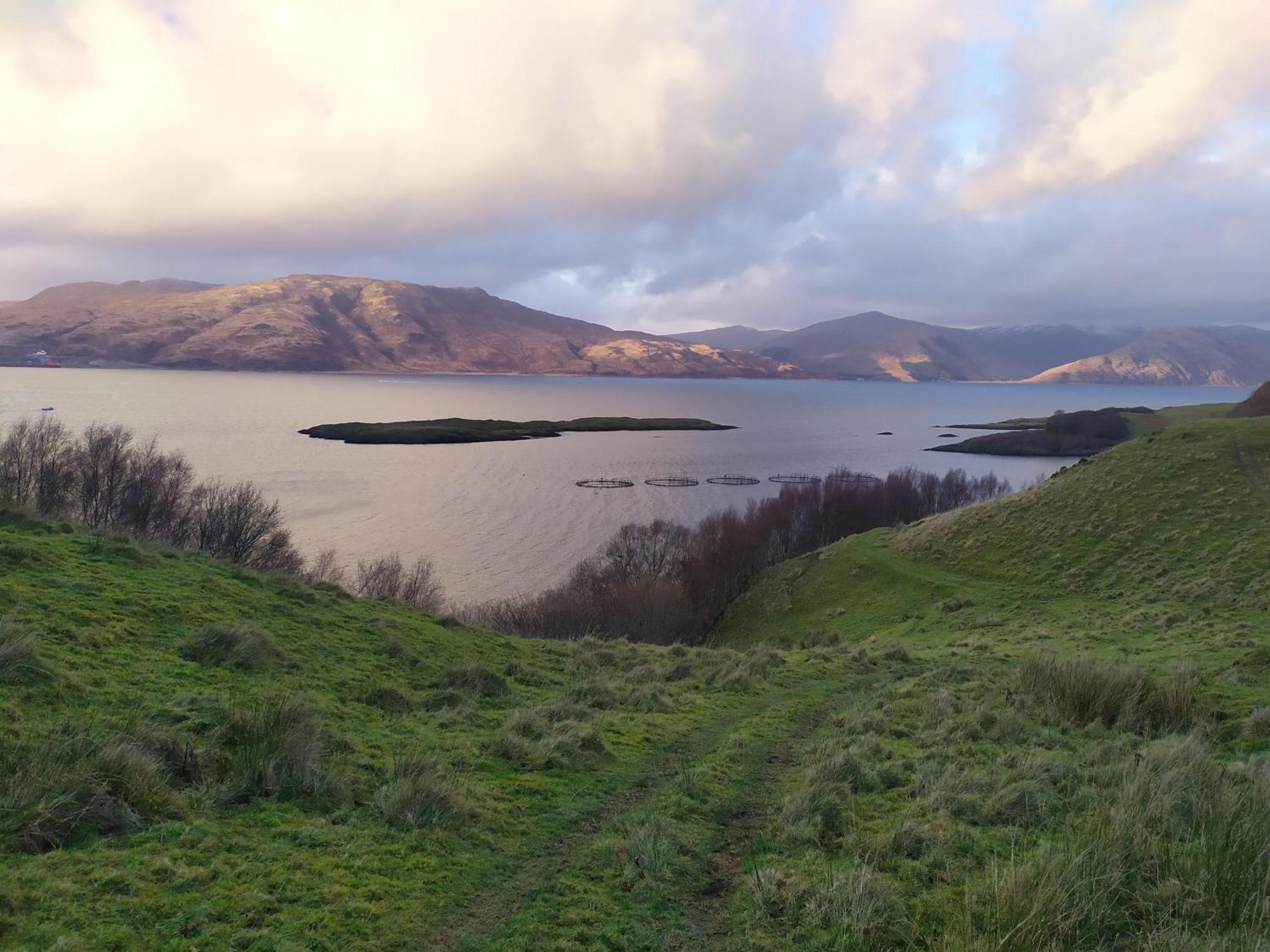 Ballimackillichan Croft Isle of Lismore Extérieur photo